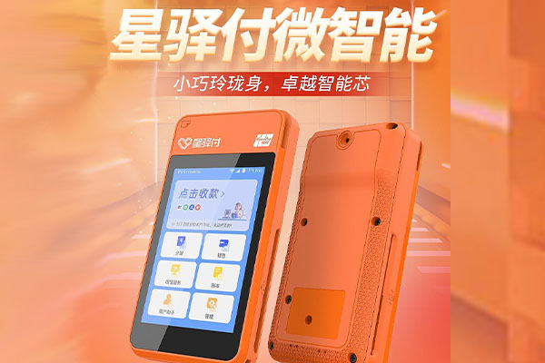 隆林国通微电签POS机